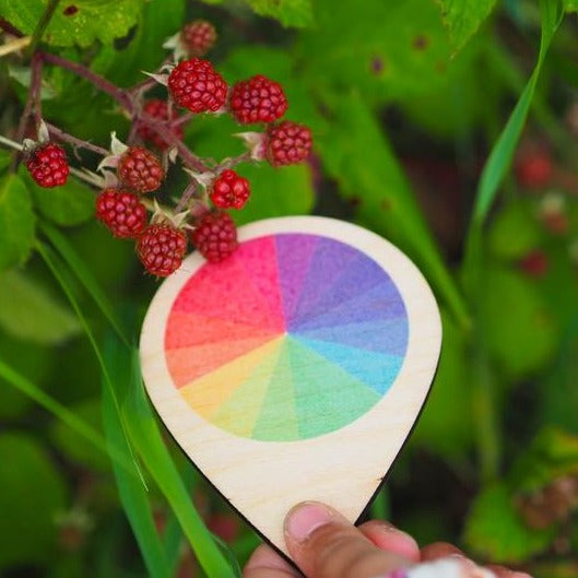 Hellion Toys sustainably made colour wheel, a great toy for developing a rich understanding of the natural world