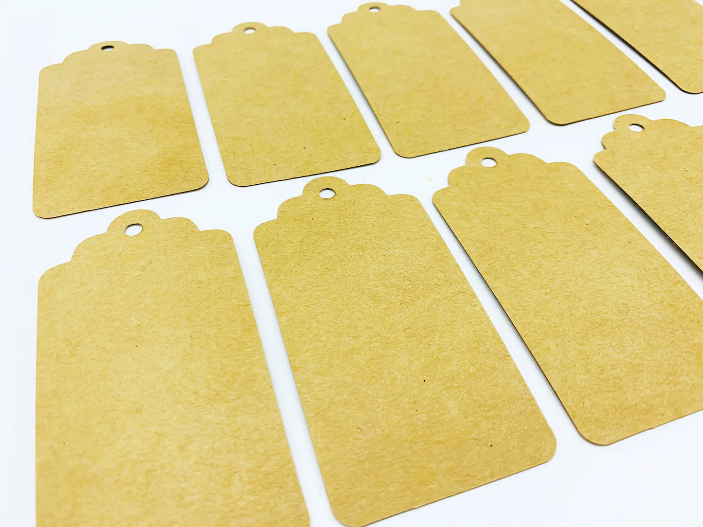 
                  
                    PlanetWrapIt Recyclable brown Kraft Gift Tags, Pack of 10
                  
                