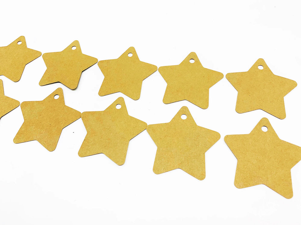 
                  
                    PlanetWrapIt Recyclable Star brown Kraft Gift Tags Pack of 10
                  
                