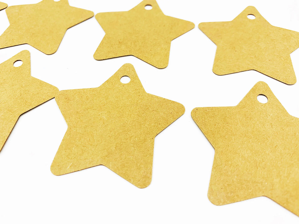 PlanetWrapIt Recyclable Star brown Kraft Gift Tags Pack of 10