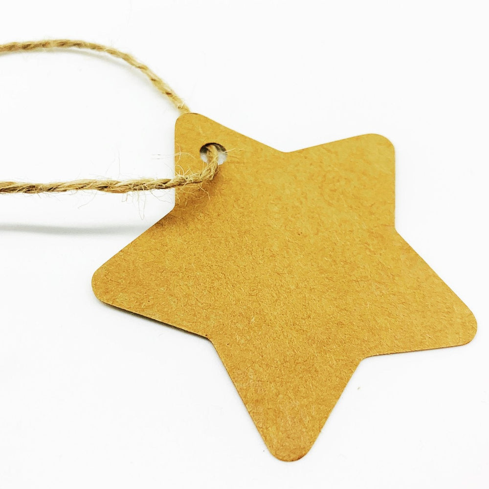 PlanetWrapIt Recyclable Star brown Kraft Gift Tags Pack of 10