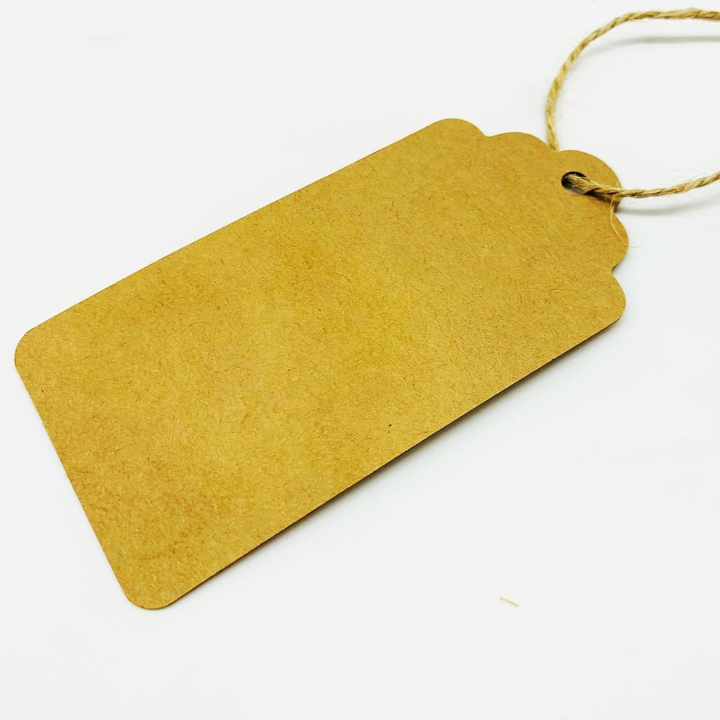 PlanetWrapIt Recyclable brown Kraft Gift Tags, Pack of 10 