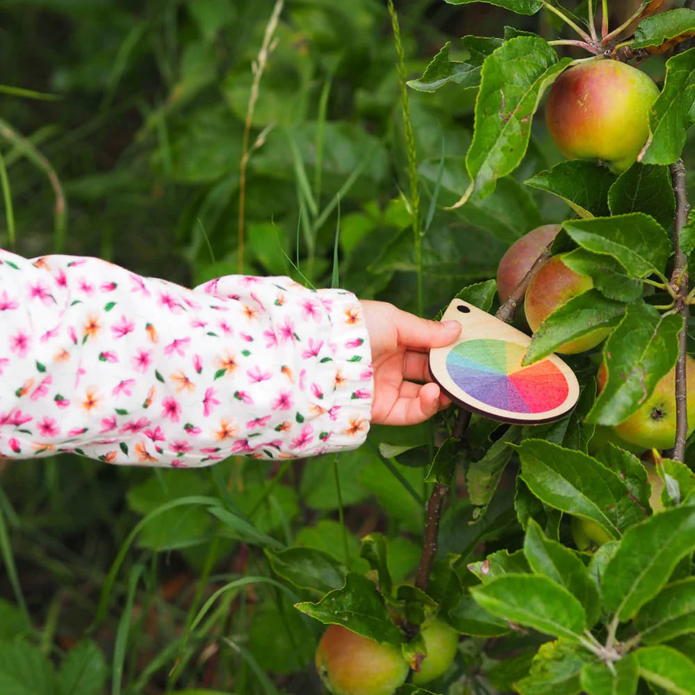 
                  
                    Hellion Toys sustainably made colour wheel, a great toy for developing a rich understanding of the natural world
                  
                