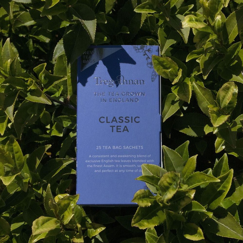 Tregothnan Classic tea bags delicious blend of hand-plucked, homegrown tea from Cornwall and the finest Assam Tea from India.